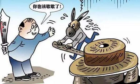 卸磨杀驴打一正确生肖，全面释义、统计解答解释落实