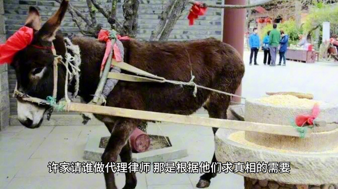 卸磨杀驴打一正确生肖，全面释义、统计解答解释落实